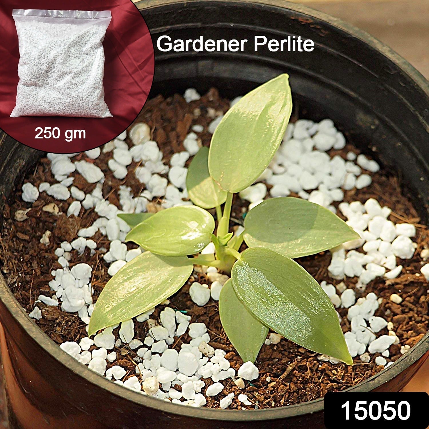 TerraBloom Perlite TerraBloom Perlite